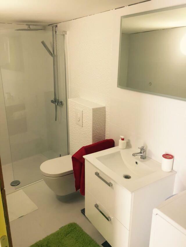 Apartman Crnica 希贝尼克 外观 照片